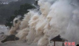 在线观看巨浪,揭秘海洋深处的神秘世界