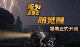 晨曦爆料视频解说,揭秘事件背后真相