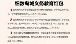 青岛新闻文旅网网友爆料,文旅新动态，青岛新闻文旅网独家披露！