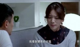 两个妻子电影在线观看,情感纠葛的抉择与救赎