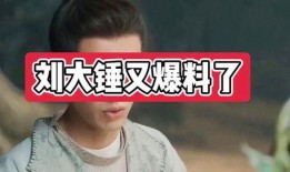 刘大锤爆料爱豆视频大全,爱豆视频大全大揭秘