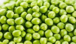 豌豆藤蔓爆料视频大全,揭秘幕后真相与精彩瞬间