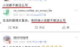 娱乐圈实名爆料小说推荐,揭秘实名爆料背后的真实故事